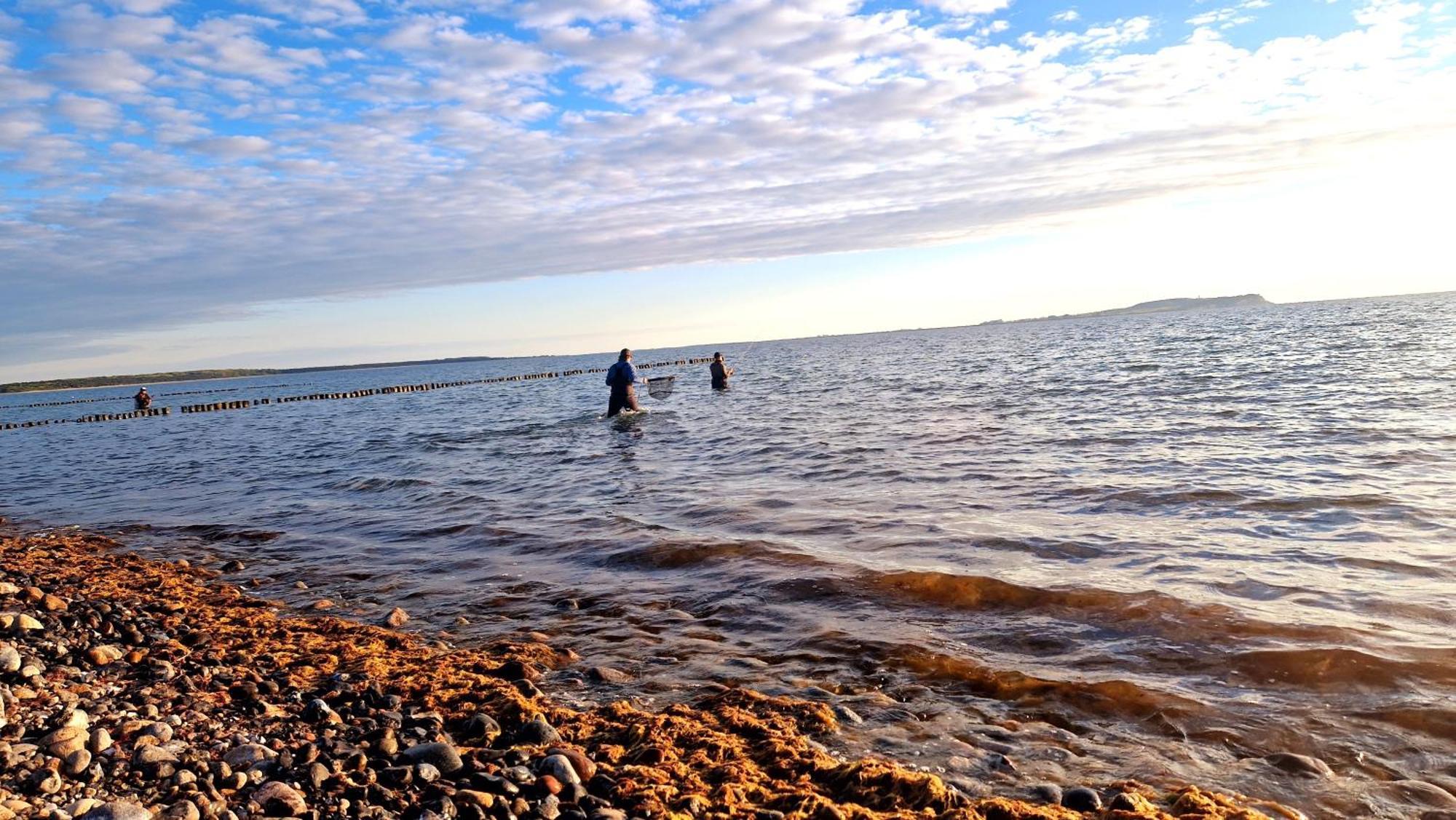 App 7O Kleinertag Am Meer Dranske Extérieur photo